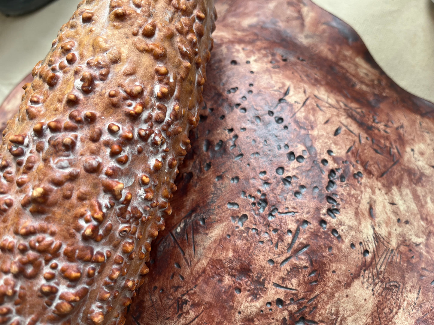 Nature Combined extra large platter