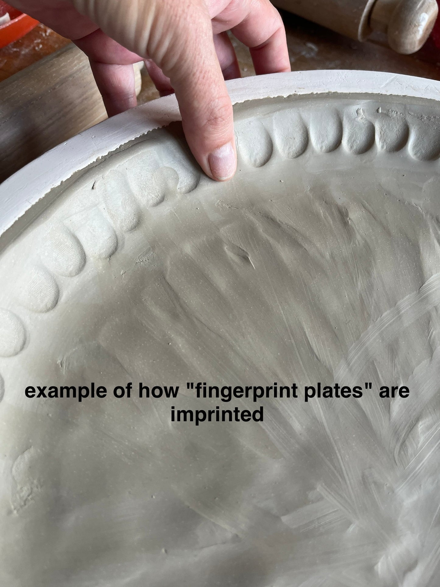 Fingerprint Plate