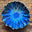 Head on a Platter logo